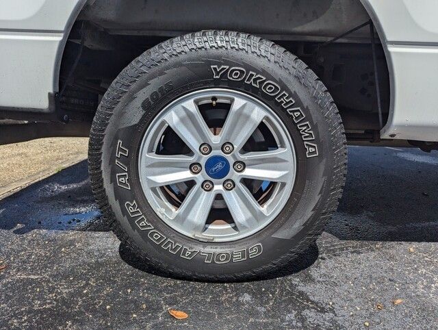 2010 Ford F-150 photo 22