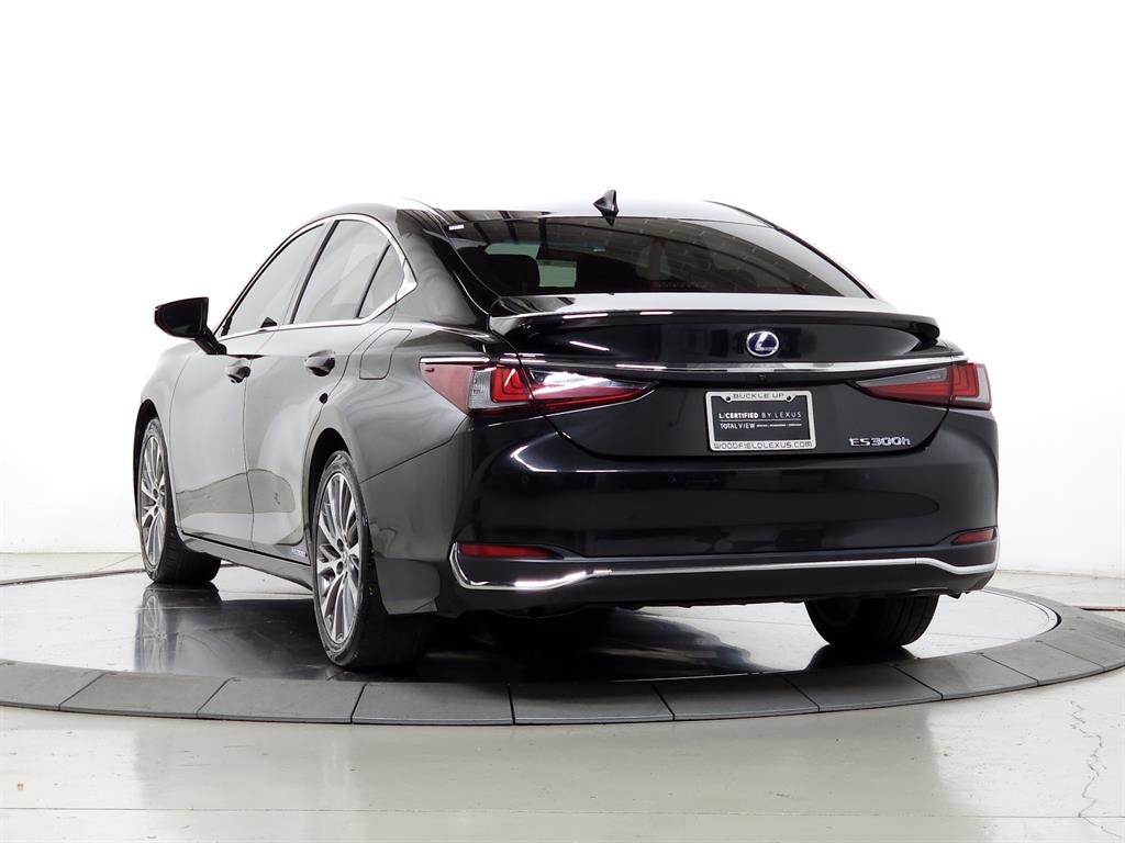 2020 Lexus ES 300h photo 5