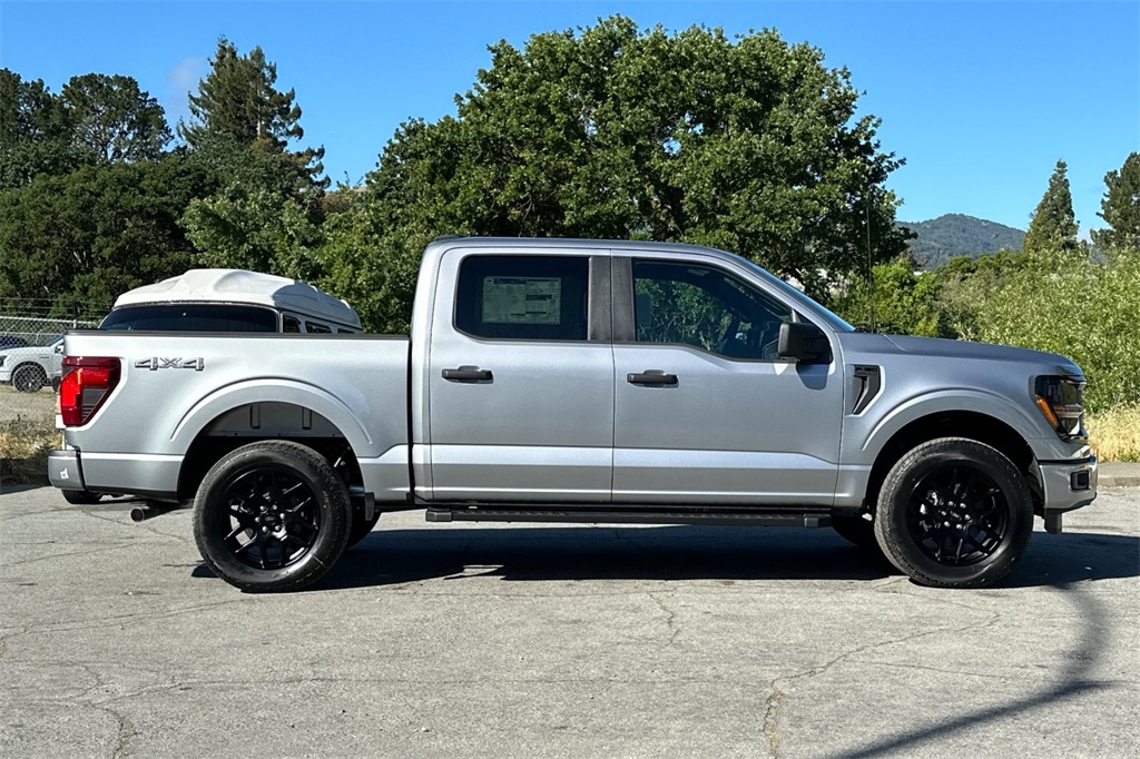2025 Ford F-150 STX photo 3