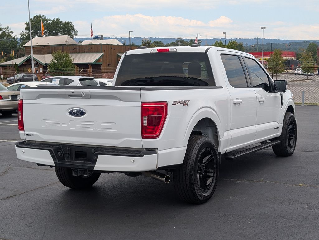 2023 Ford F-150 XLT photo 3