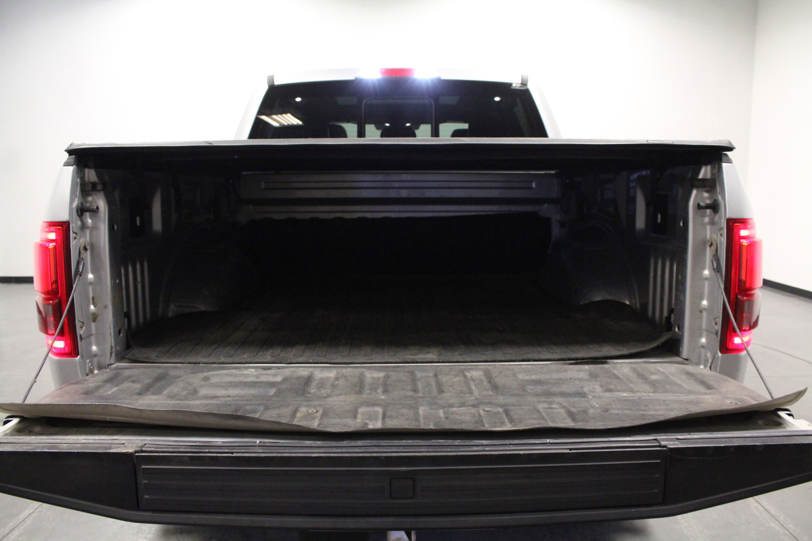2016 Ford F-150 Platinum photo 13