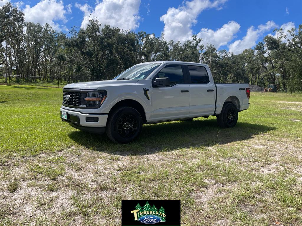 2025 Ford F-150 STX's photo