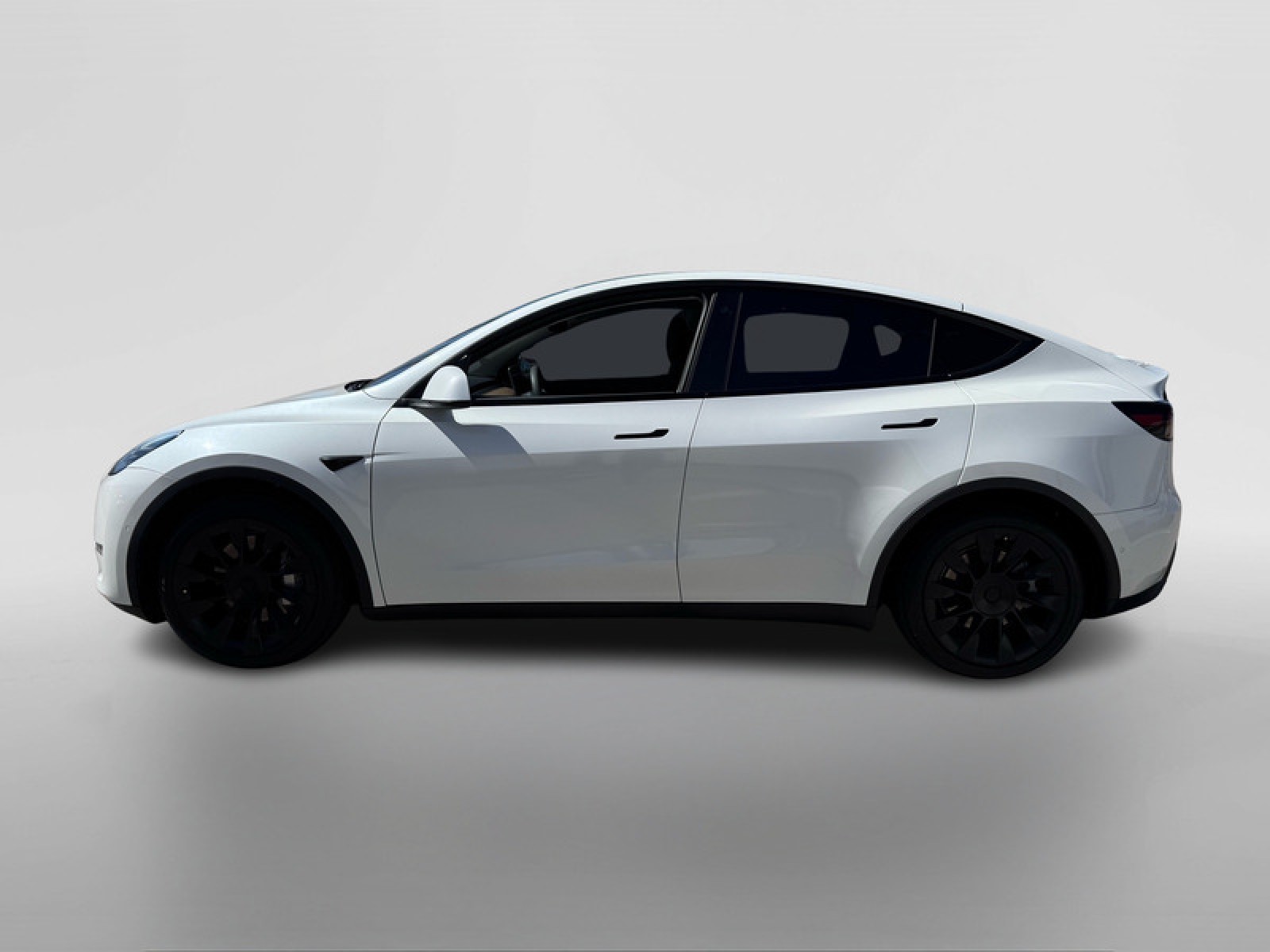 Used 2020 Tesla Model Y Performance with VIN 5YJYGDEF0LF004199 for sale in Northfield, Minnesota