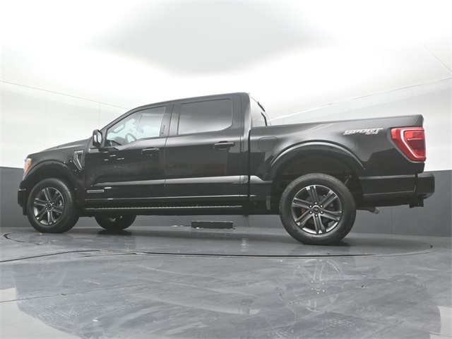2023 FORD F-150 - Image 41