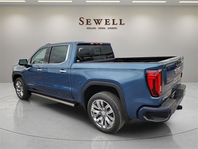 2024 Gmc Sierra 1500 Denali photo 3