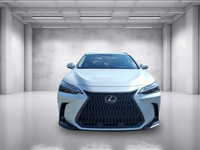 2025 Lexus NX 250 - Photo 8