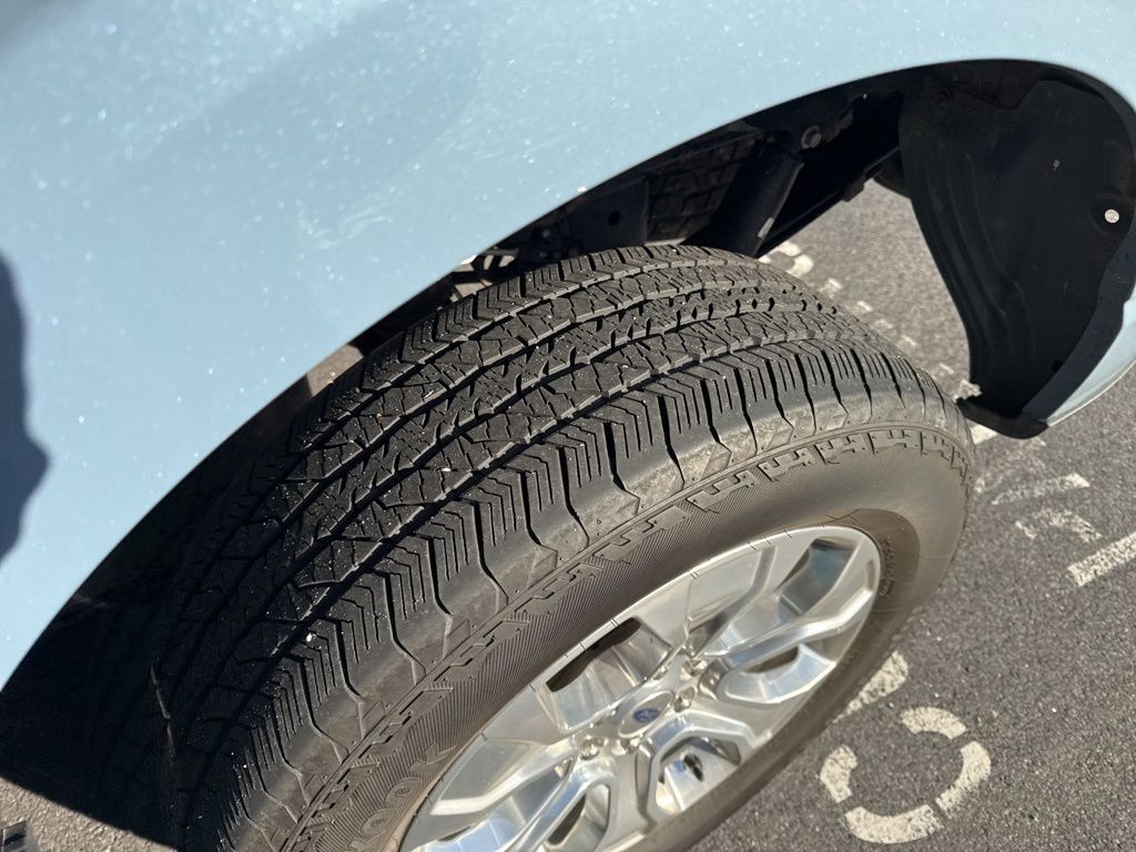 2023 Ford F-150 Platinum photo 3