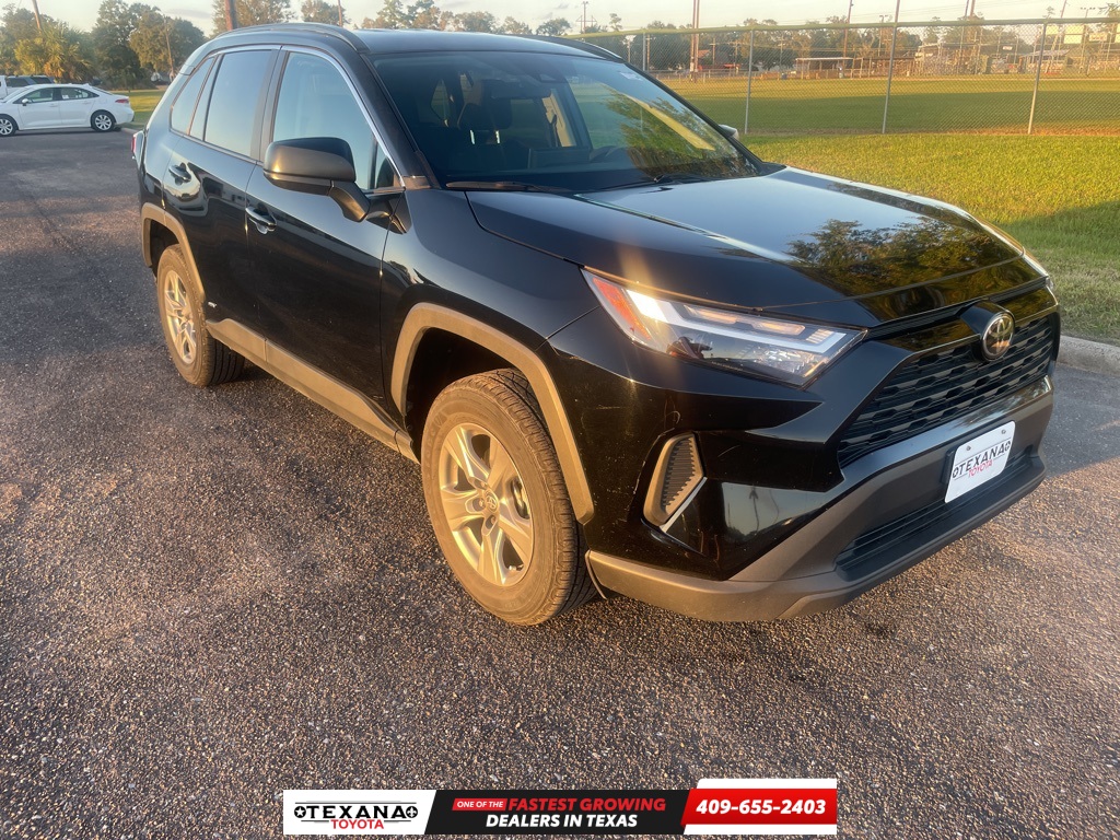 2025 Toyota RAV4 LE's photo