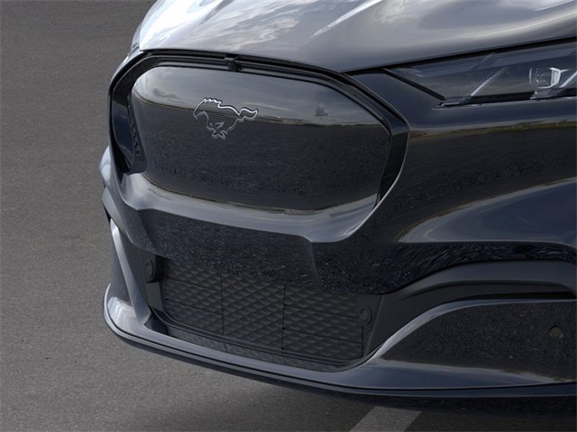 2025 Ford Mustang Mach-E Premium photo 17