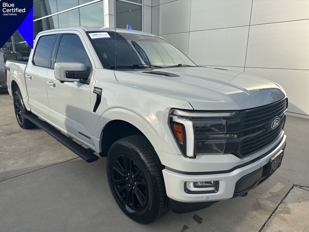 2024 Ford F-150 Platinum's photo