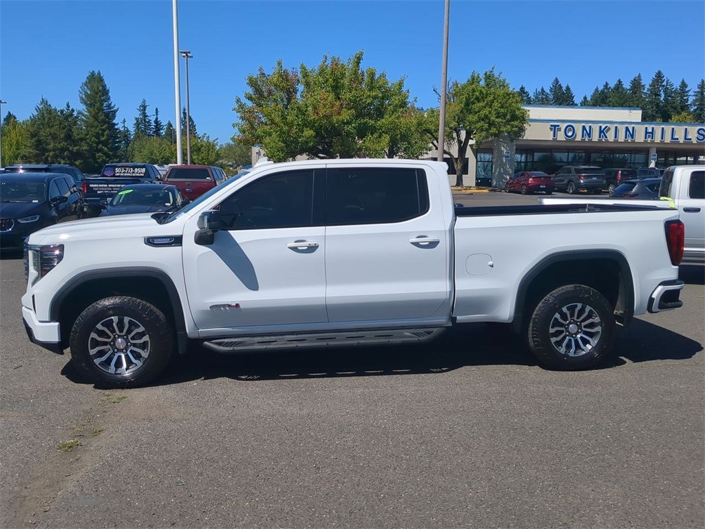 2022 Gmc Sierra 1500 AT4 photo 3