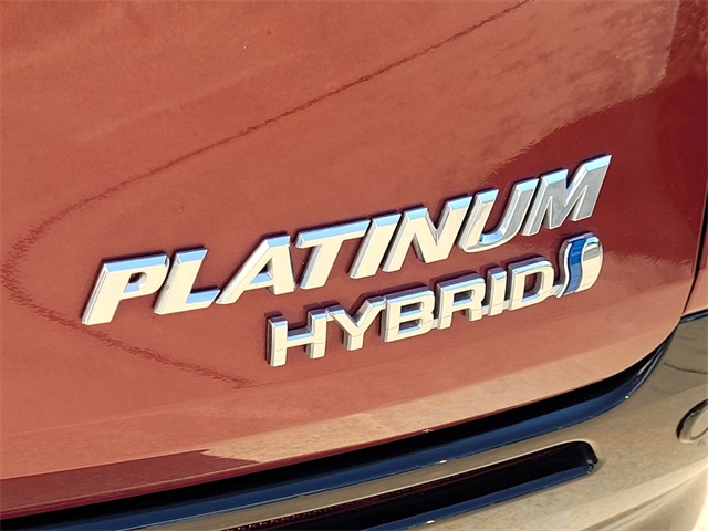 2023 Toyota Sienna Platinum photo 13