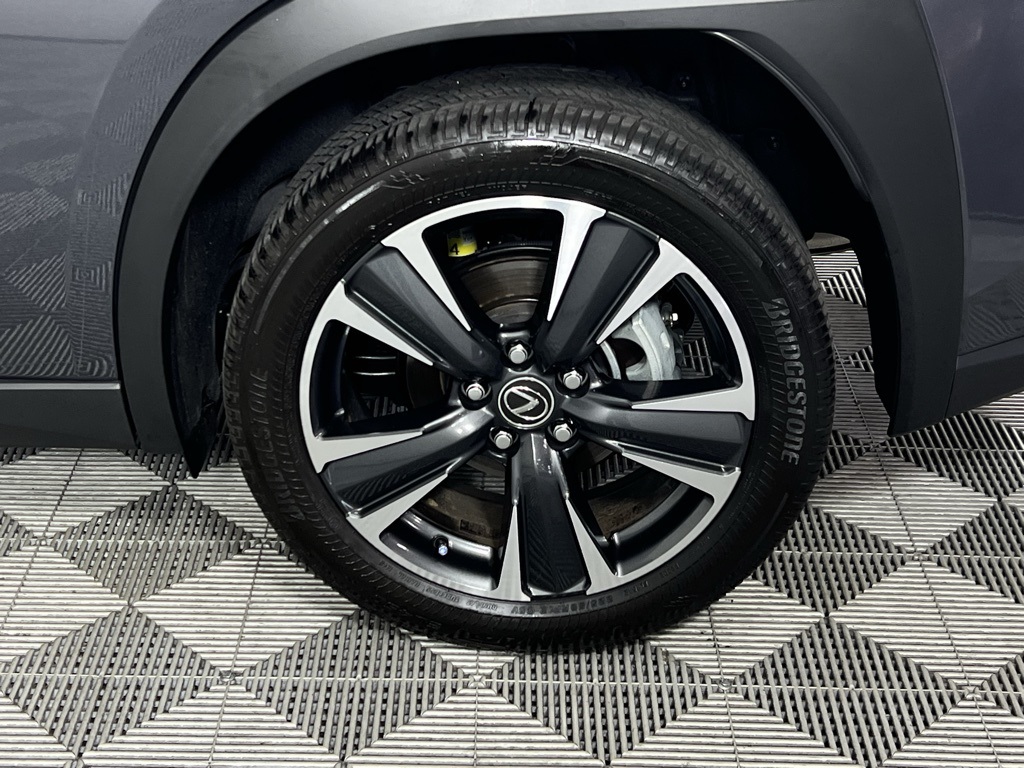 2025 Lexus UX F SPORT Design photo 9