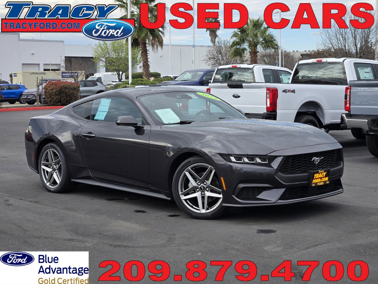 2024 Ford Mustang EcoBoost