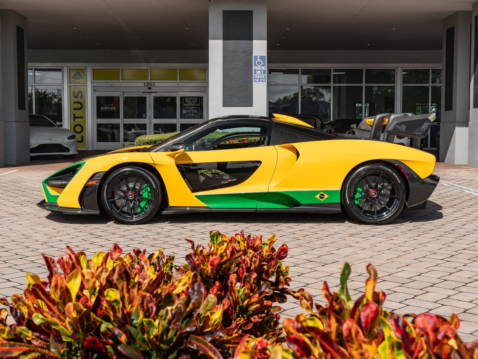 2019 Mclaren SENNA photo 10
