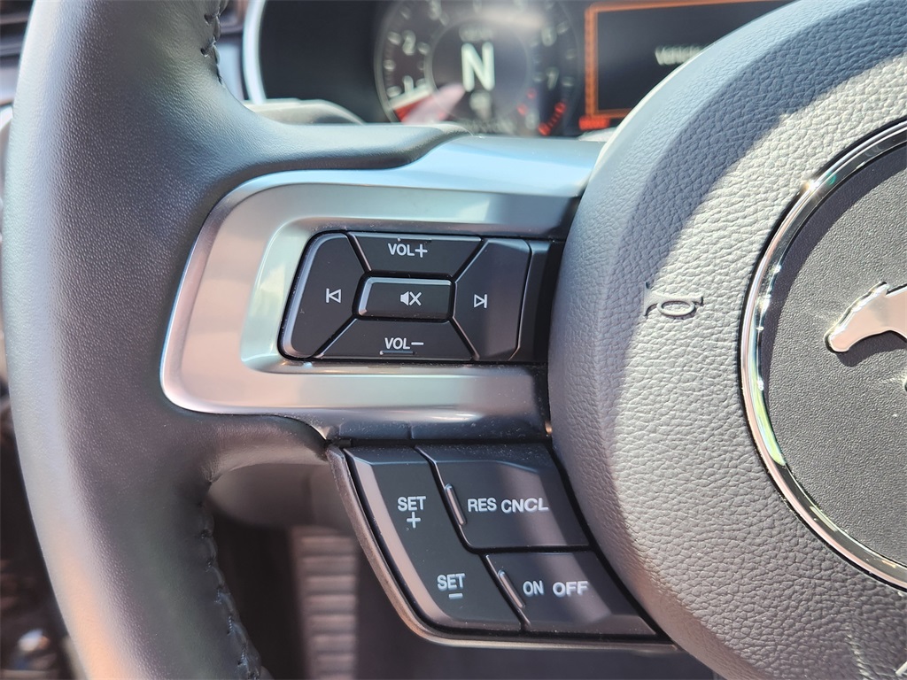 2021 Ford Mustang Mach 1 photo 20