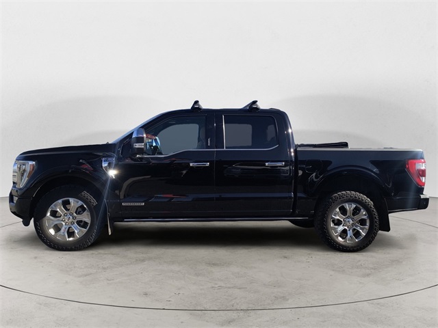 2021 Ford F-150 Platinum photo 2