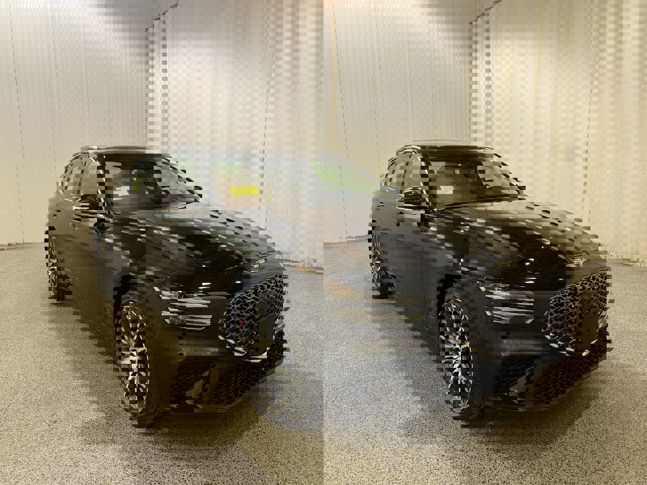 New 2026 Vik Black Genesis 2.5T Standard image 3