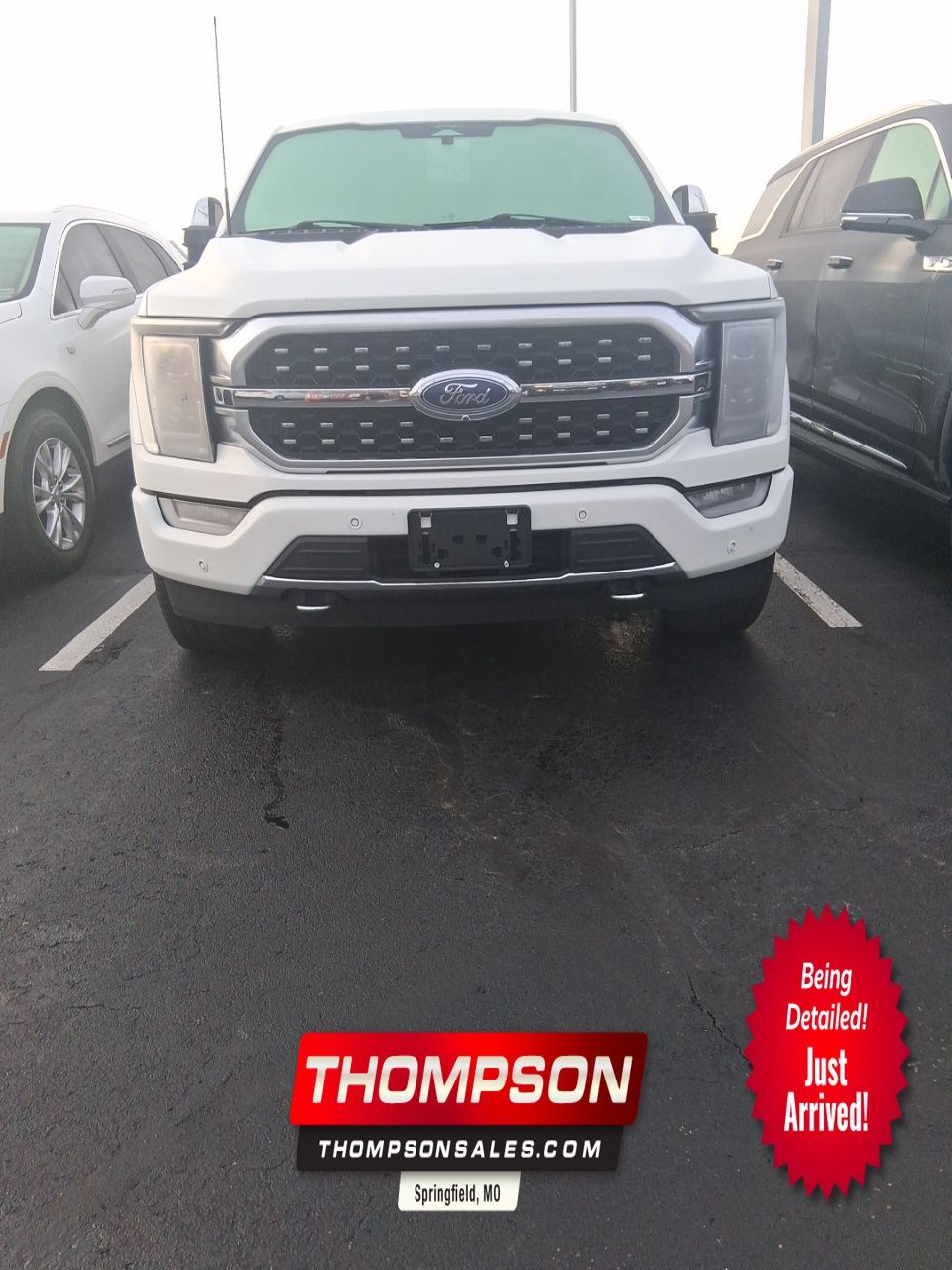 2022 Ford F-150 Platinum's photo