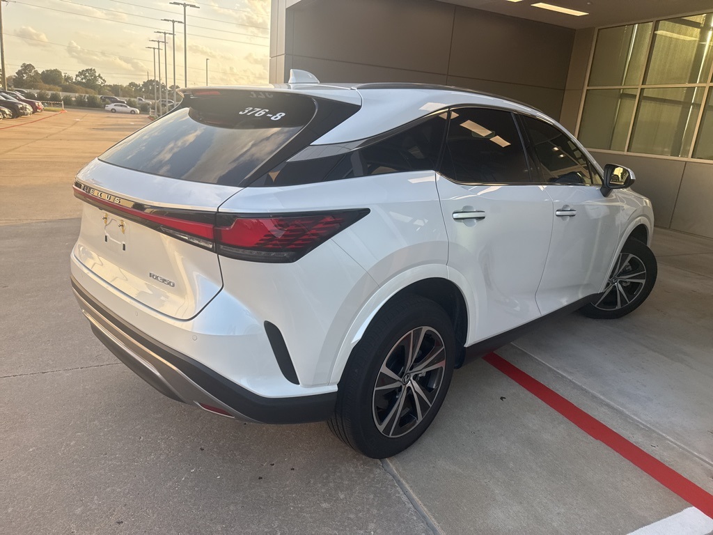 2025 Lexus RX 350 Premium photo 3