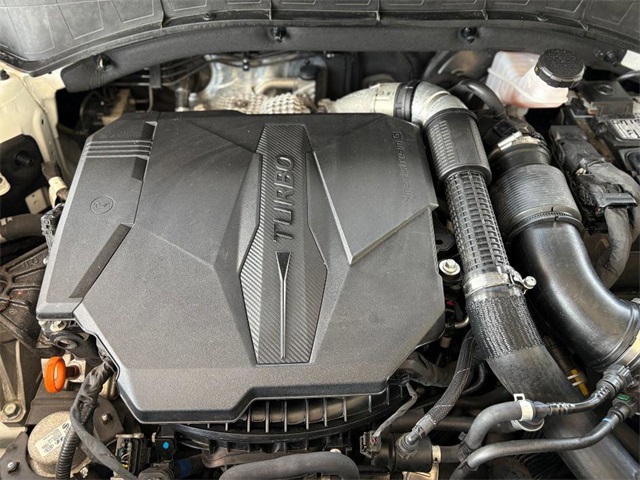 2022 Kia Sorento SX photo 41
