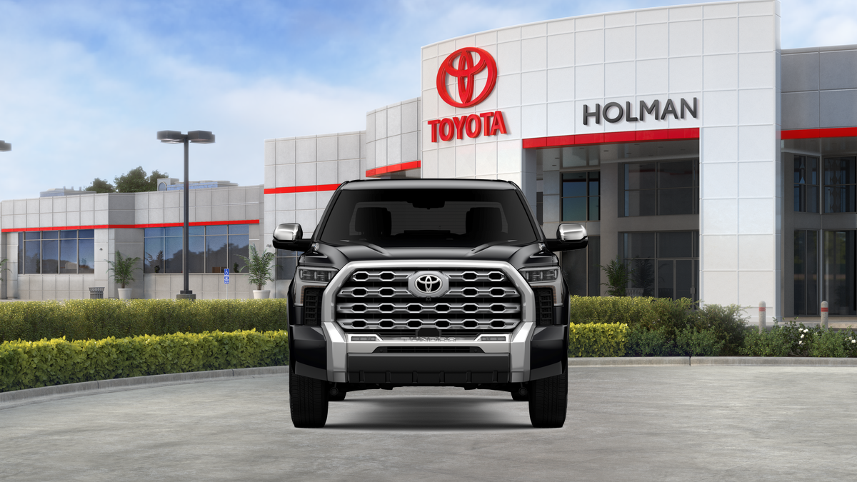 2025 Toyota Tundra 1794 Edition photo 17