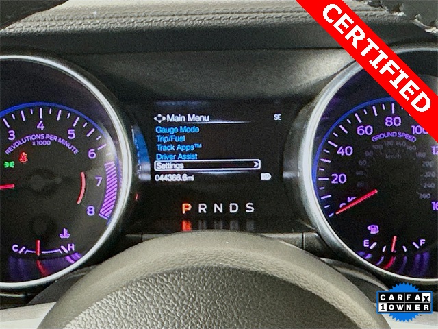2023 Ford Mustang EcoBoost Premium photo 2