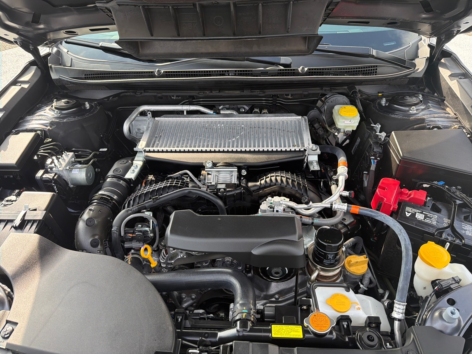 2025 Subaru Outback Wilderness photo 3