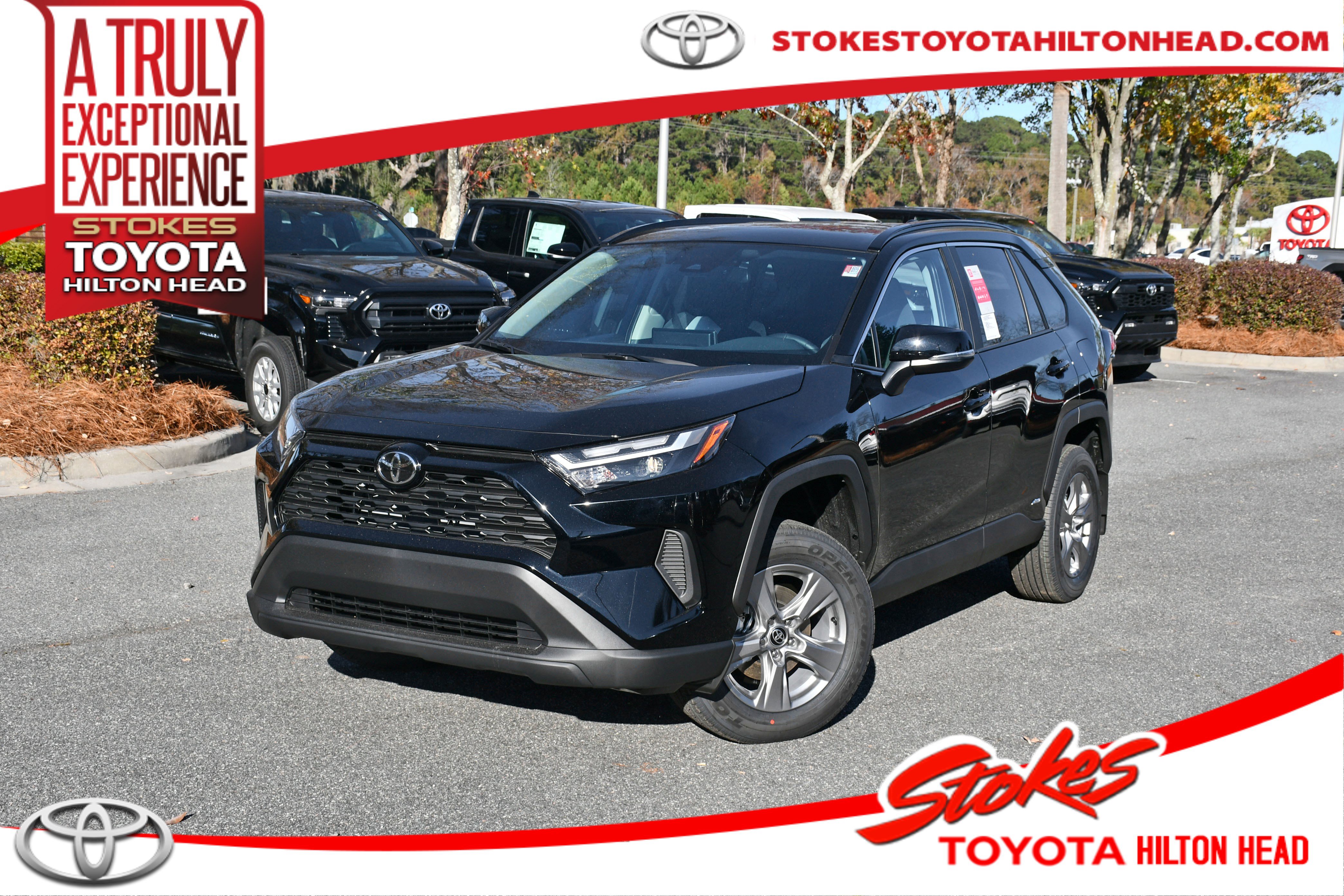 2025 Toyota RAV4 XLE's photo