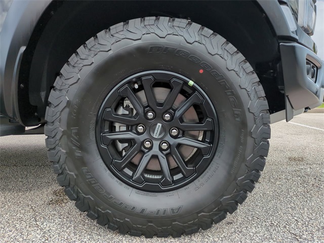 2025 Ford F-150 Raptor photo 8