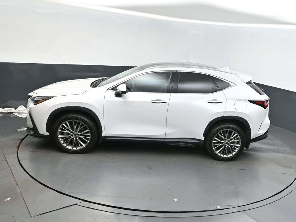 2023 Lexus NX 350 Luxury photo 30