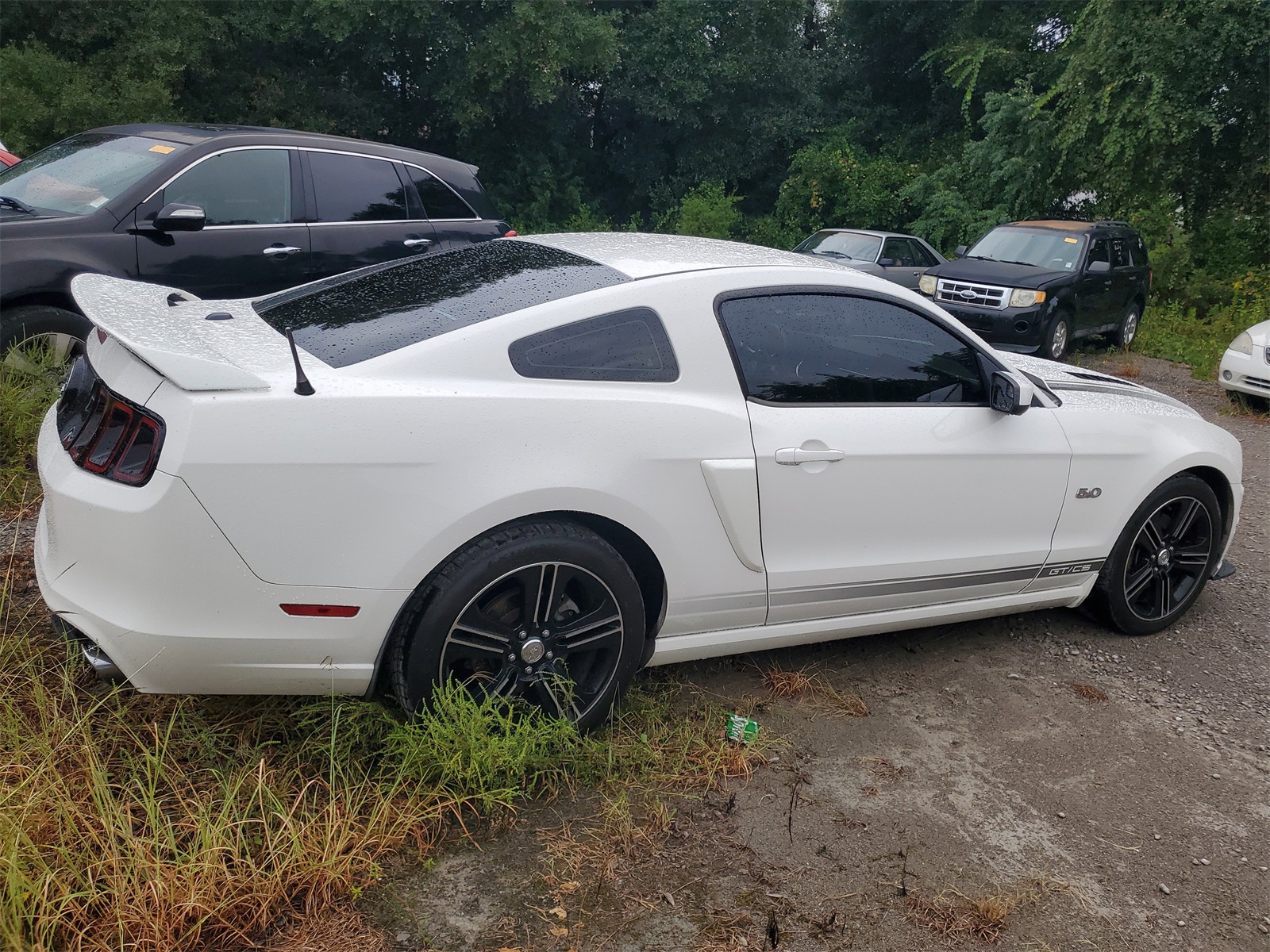 2013 Ford Mustang GT Premium photo 4