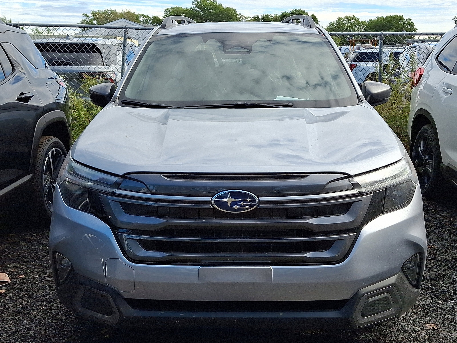 2025 Subaru Forester Limited photo 2