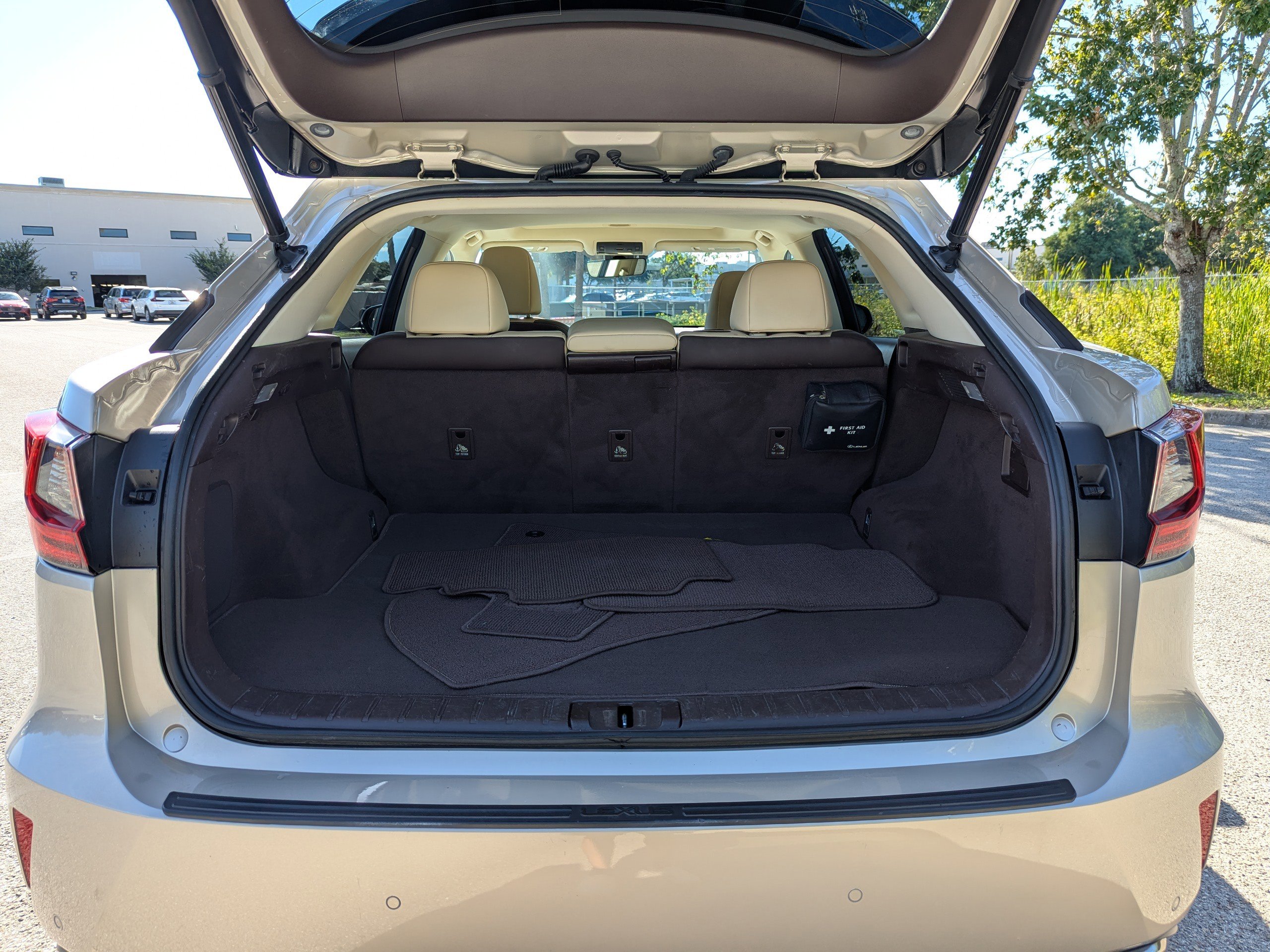 2019 Lexus RX 350 F SPORT photo 11