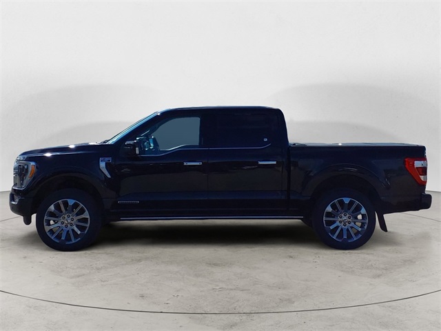 2021 Ford F-150 Limited photo 2