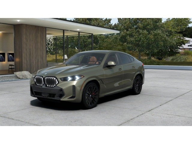 2026 BMW X6