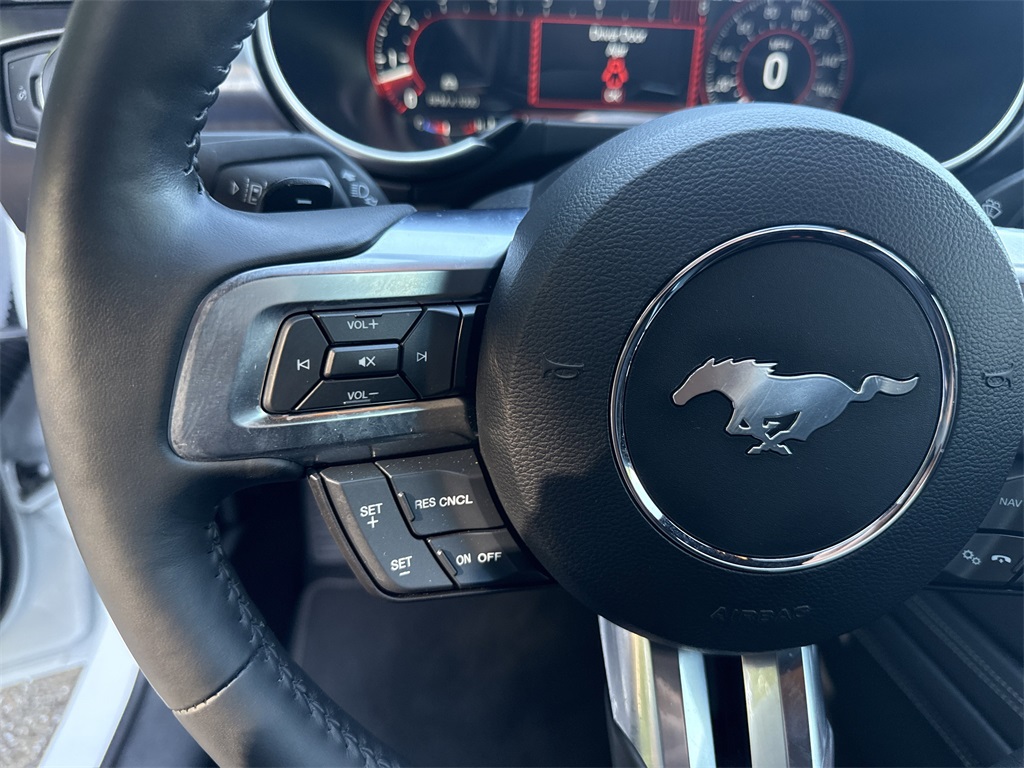 2022 Ford Mustang Mach 1 photo 23