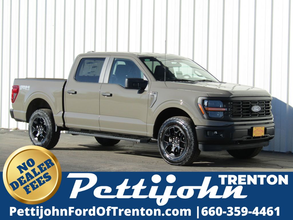 2025 Ford F-150 STX's photo