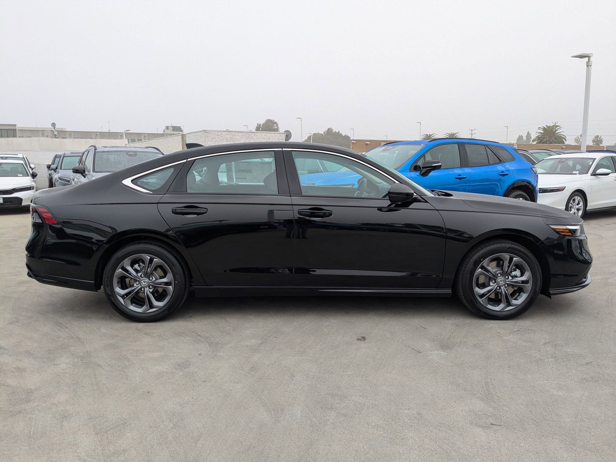 2025 Honda Accord Hybrid EX-L photo 2