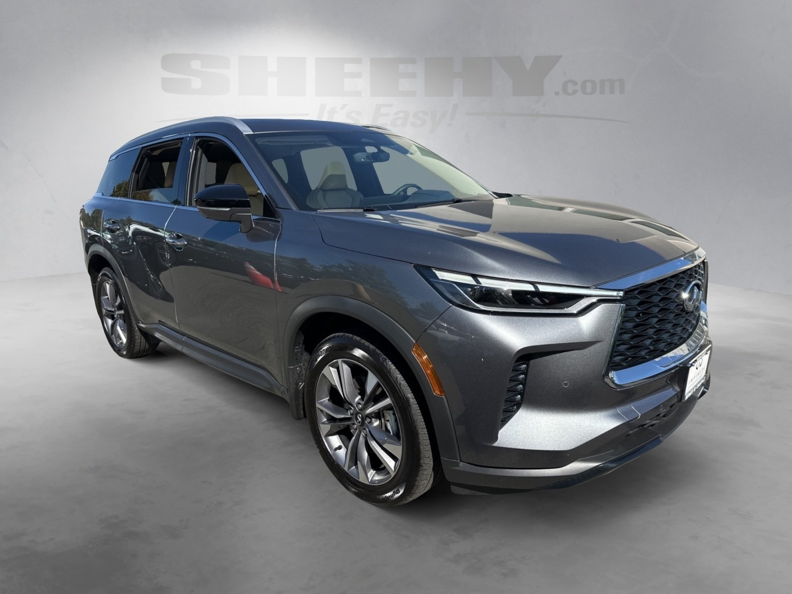 2024 Infiniti QX60 Luxe photo 2