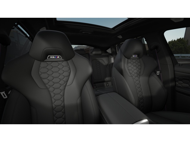 2026 Bmw X6 photo 10
