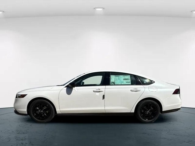2025 Honda Accord 1.5T SE photo 8