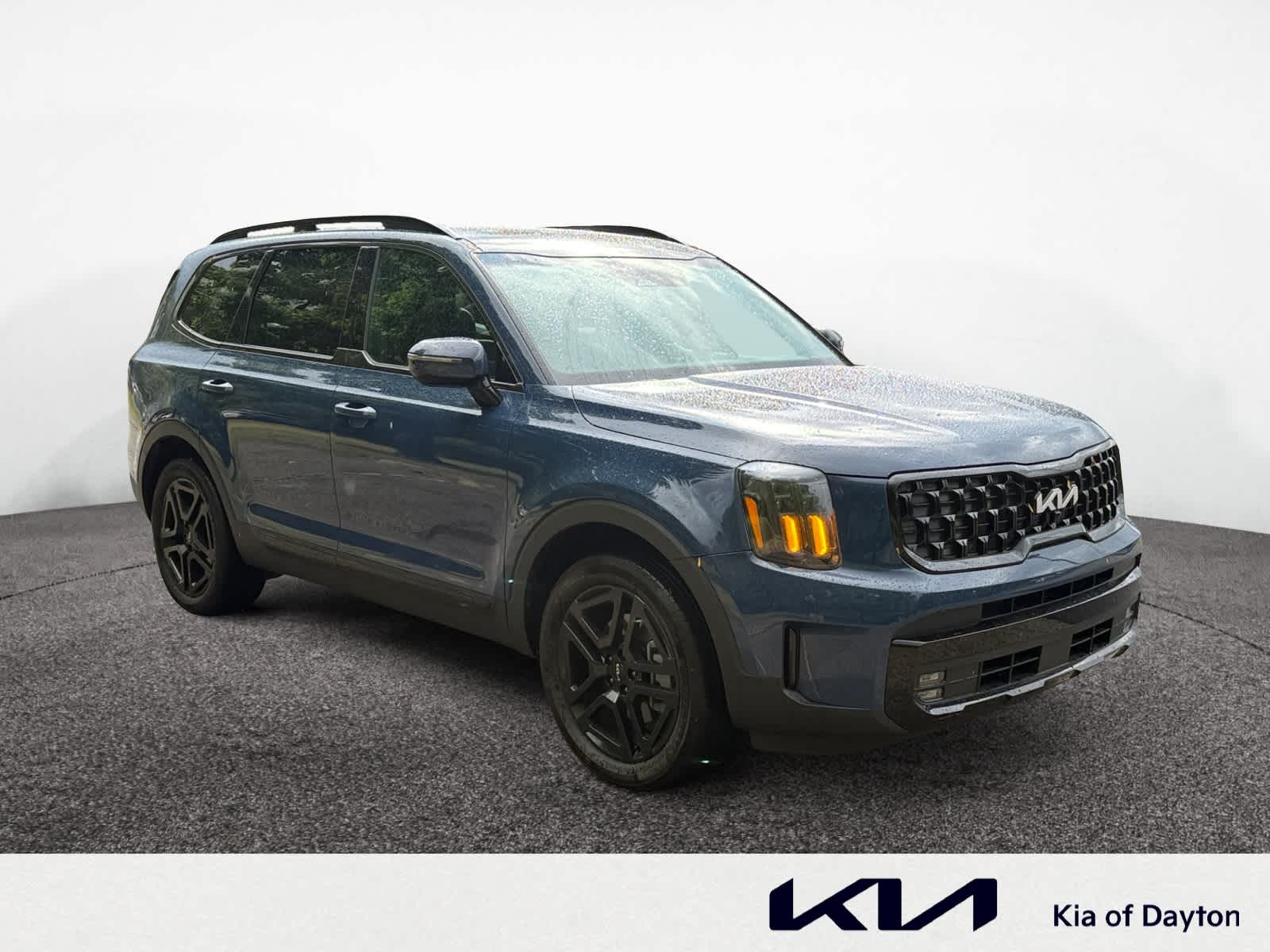2024 Kia Telluride SX X-Line photo 7