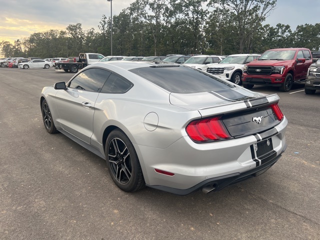 2019 Ford Mustang EcoBoost Premium photo 2