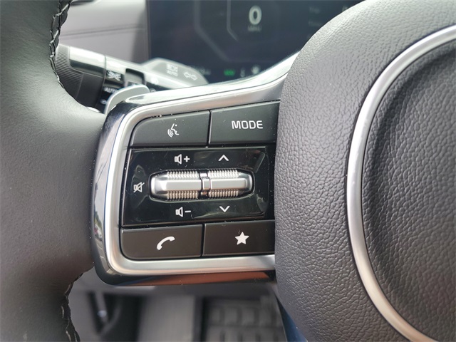 2025 Kia Carnival SX Prestige photo 29