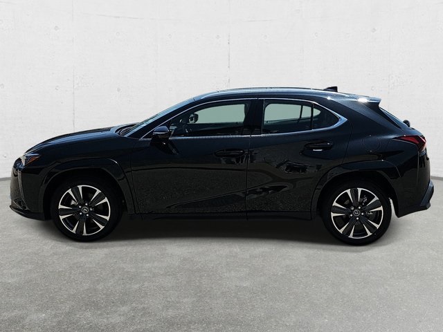 2025 Lexus UX Premium photo 8
