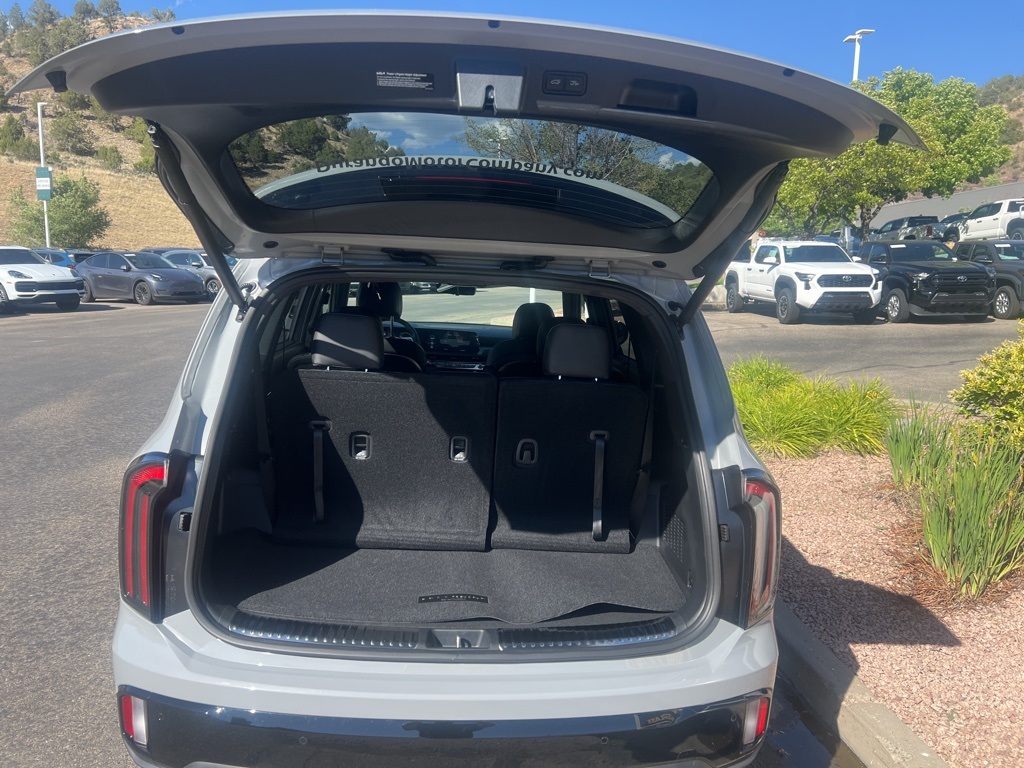 2025 Kia Telluride SX Prestige X-Line photo 6