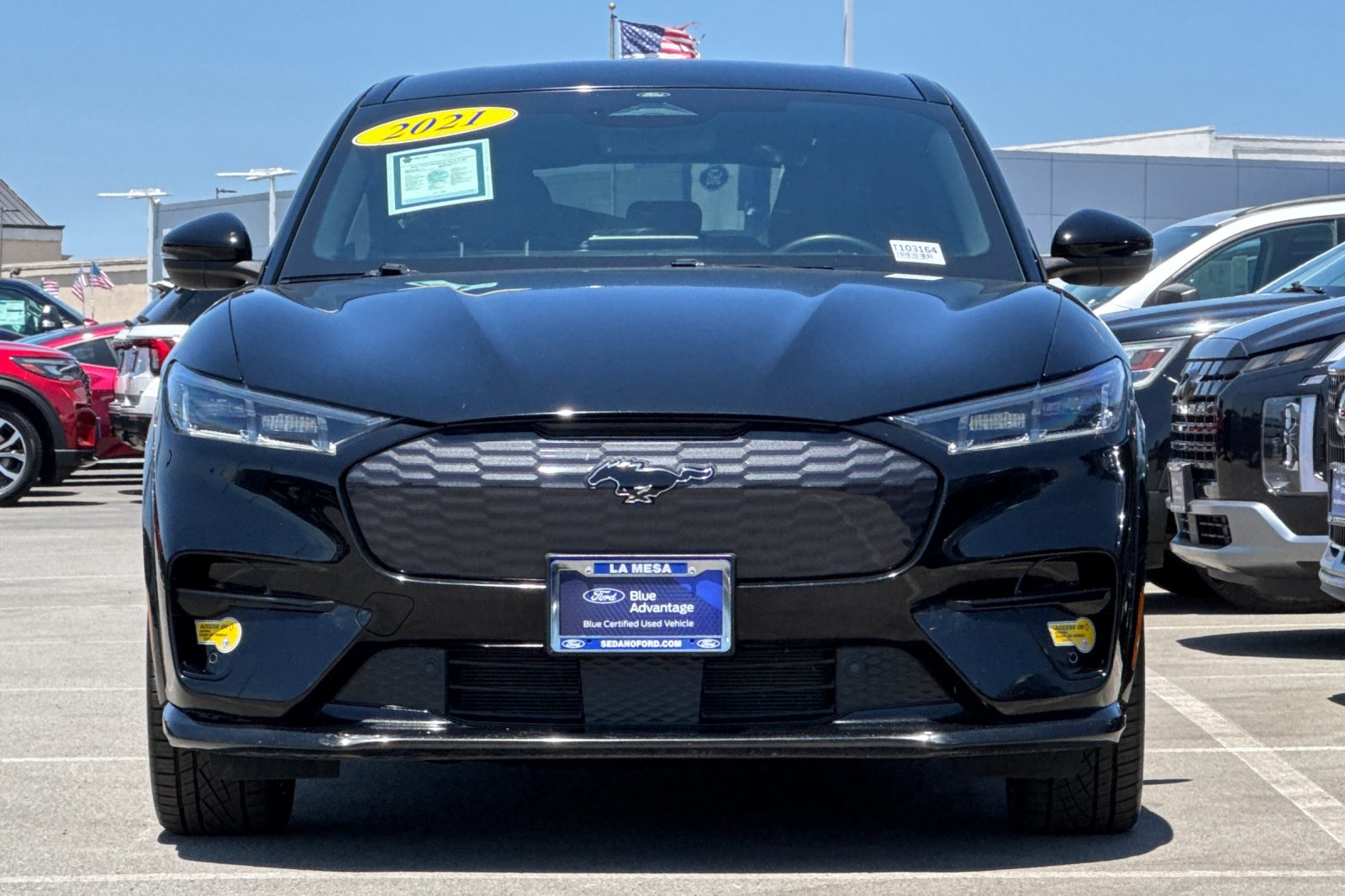 2021 Ford Mustang Mach-E GT photo 8