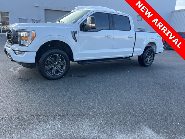 2023 Ford F-150 XLT's photo