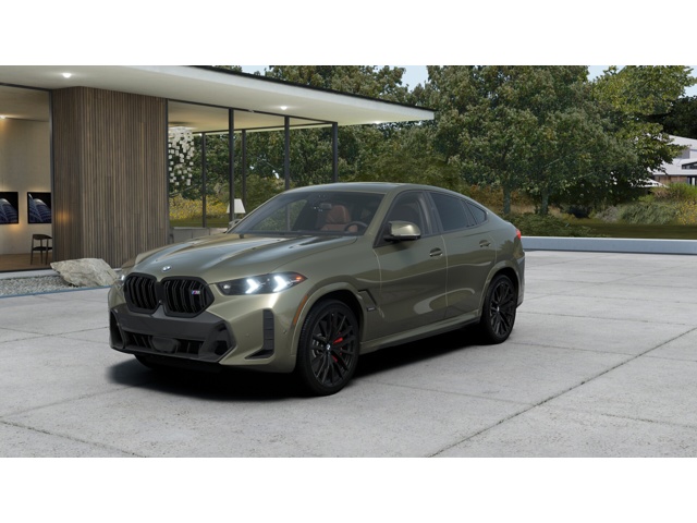2026 BMW X6 M60i's photo
